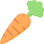 Carrot icon 64x64