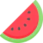 Watermelon icon 64x64