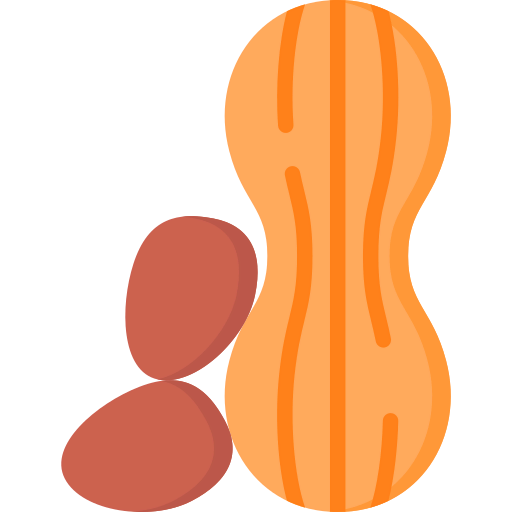 Peanut icon