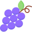 Grape icon 64x64