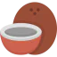 Coconut icon 64x64