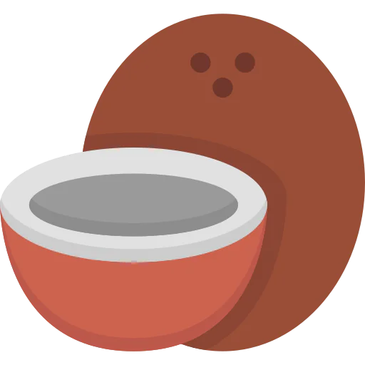 Coconut icon