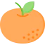 Orange icon 64x64