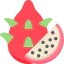 Dragon fruit icon 64x64