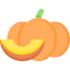 Pumpkin icon 64x64