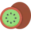 Kiwi icon 64x64