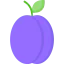 Plum icon 64x64