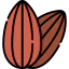 Almond icon 64x64
