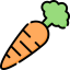 Carrot icon 64x64