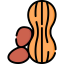 Peanut icon 64x64