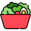 Salad icon 64x64