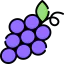Grape icon 64x64