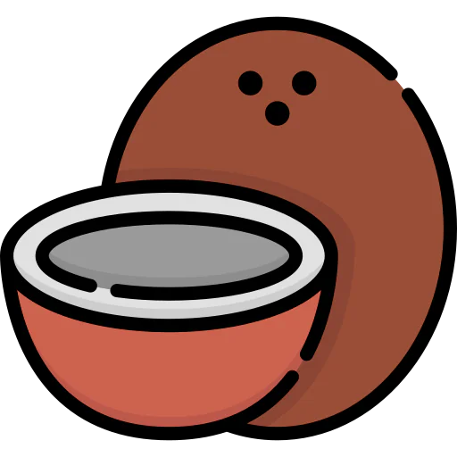 Coconut icon