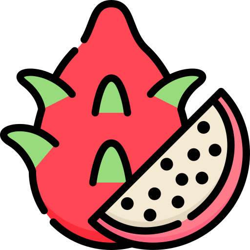 Dragon fruit icon