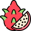 Dragon fruit icon 64x64