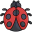 Ladybug icon 64x64