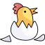 Chick icon 64x64