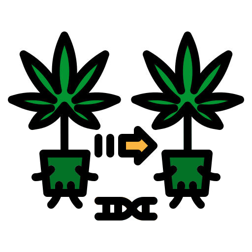 Cloning icon