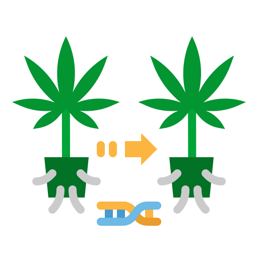 Cloning icon