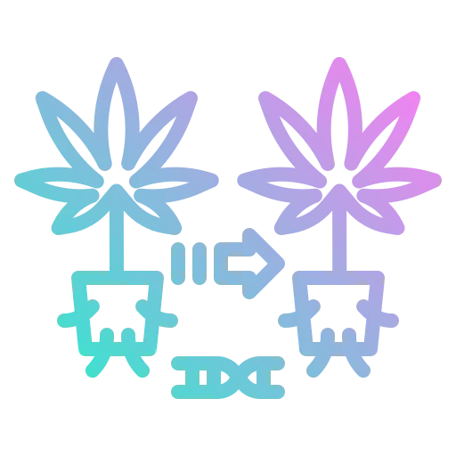 Cloning icon
