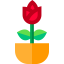Flower icon 64x64