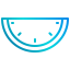 Watermelon icon 64x64
