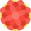 Dalia icon 64x64