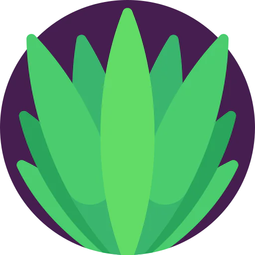 Agave icon