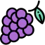 Grape icon 64x64