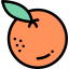 Orange icon 64x64
