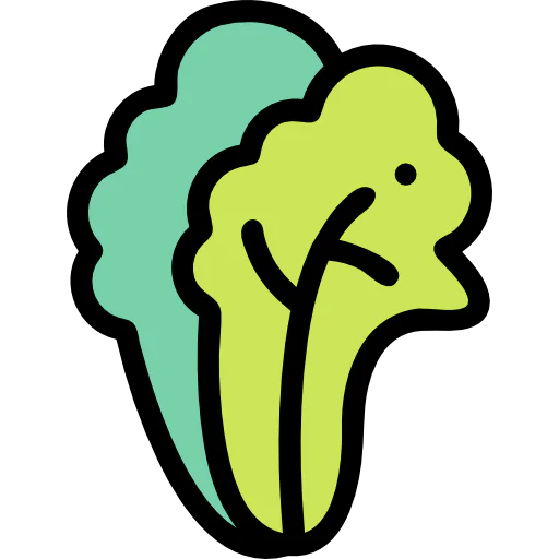 Lettuce icon