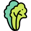 Lettuce icon 64x64