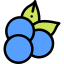 Blueberry icon 64x64