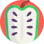 Guanabana icon 64x64