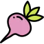 Radish icon 64x64