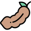 Tamarind icon 64x64