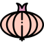 Onion icon 64x64