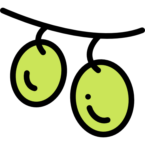 Olives icon