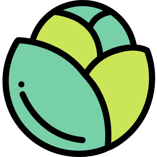 Cabbage icon