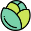Cabbage icon 64x64