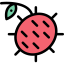 Rambutan icon 64x64