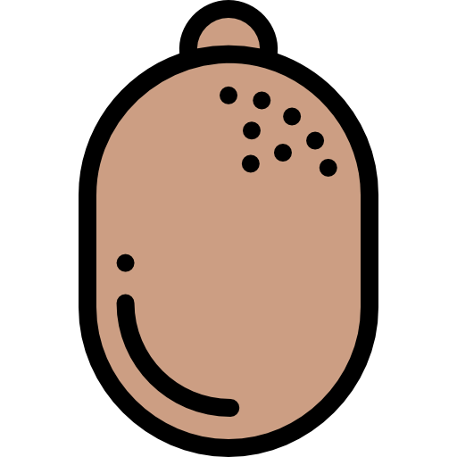 Kiwi icon