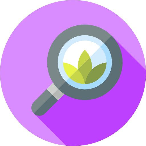 Search icon