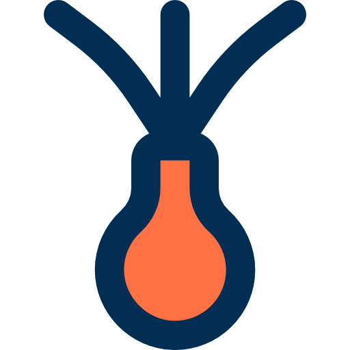 Onion icon