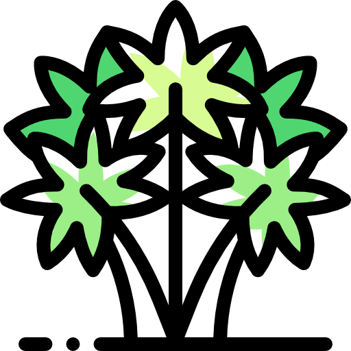Palm icon