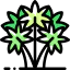 Palm icon 64x64