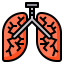 Lungs icon 64x64