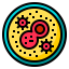Petri dish icon 64x64