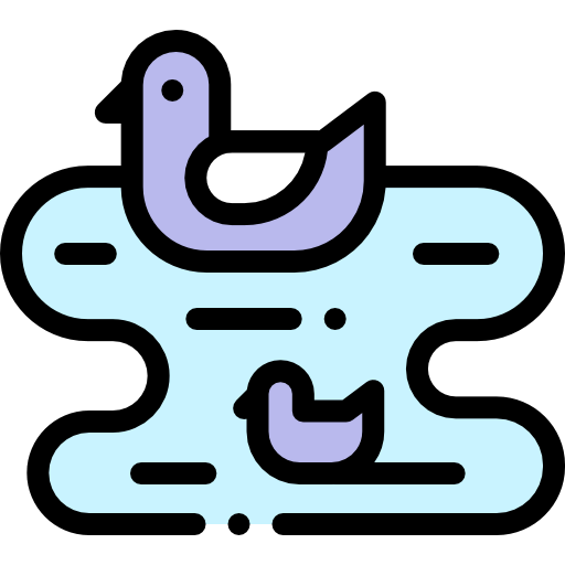 Ducks icon