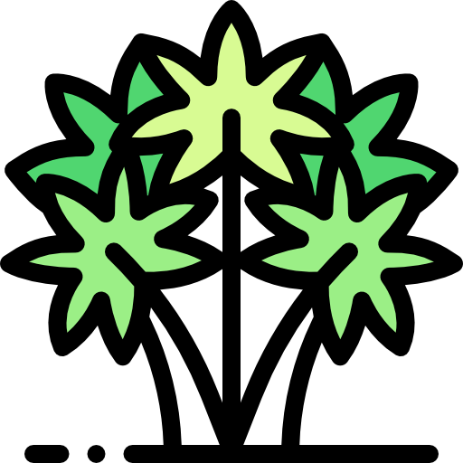 Palm icon